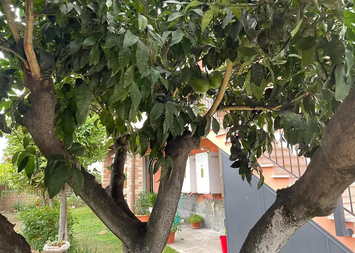 Un sogno nel verde